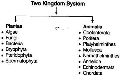 Biological Classification Cbse Notes For Class Biology Cbse Tuts My