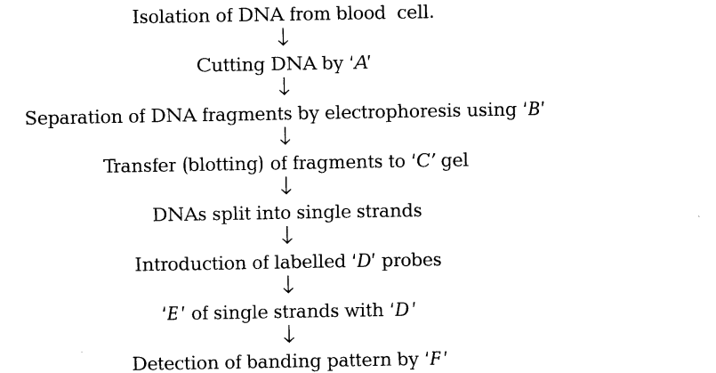 CBSE Sample Papers for Class 12 SA2 Biology Solved 2016 Set 4-8