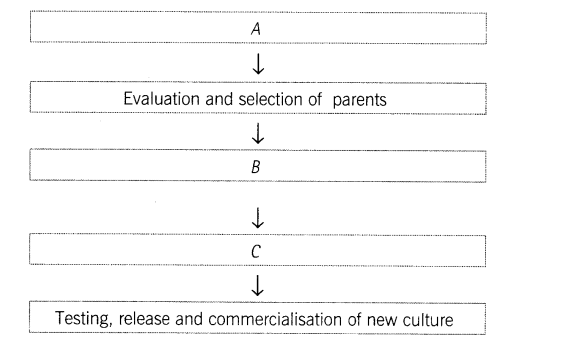 CBSE Sample Papers for Class 12 SA2 Biology Solved 2016 Set 9-1