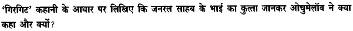 Chapter Wise Important Questions CBSE Class 10 Hindi B - गिरगिट 30