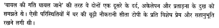 Chapter Wise Important Questions CBSE Class 10 Hindi B - टोपी शुक्ला 10b