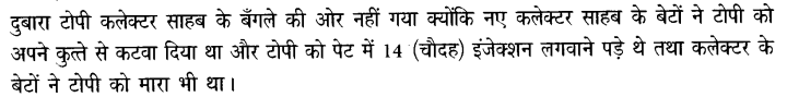 Chapter Wise Important Questions CBSE Class 10 Hindi B - टोपी शुक्ला 46a