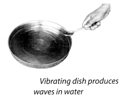 NCERT Solutions for Class 8 Science Chapter 13 Sound Activity 3