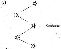 NCERT Solutions for Class 8 Science Chapter 17 Stars and The Solar System 2 Marks Q21