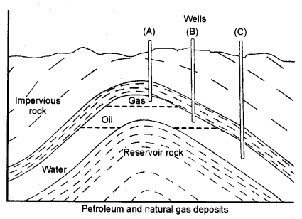 NCERT Solutions for Class 8 Science Chapter 5 Materials Coal and Petroleum 3 Marks Q5