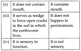 NCERT Solutions For Class 11 Biology Structural Organisation in Animals Q7.1
