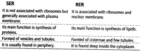 cell-unit-life-cbse-notes-class-11-biology-12