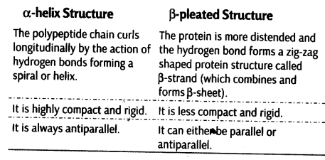 biomolecules-cbse-notes-for-class-11-biology-18