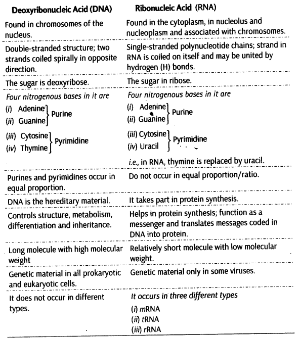 biomolecules-cbse-notes-for-class-11-biology-22