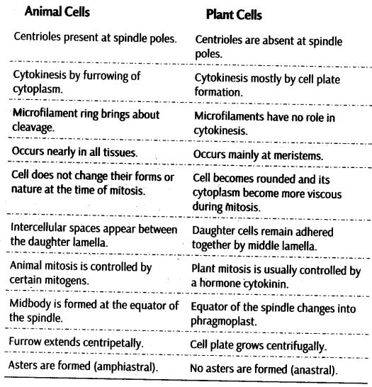 CBSE Class 11 Biology Chapter 10 Cell Cycle and Cell Division Study  Materials