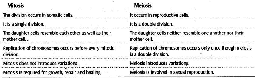 cell-cycle-and-cell-division-cbse-notes-for-class-11-biology-12