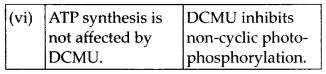 NCERT Solutions For Class 11 Biology Photosynthesis in Higher Plants Q6.3