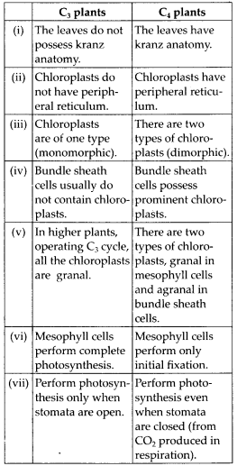NCERT Solutions For Class 11 Biology Photosynthesis in Higher Plants Q6.4