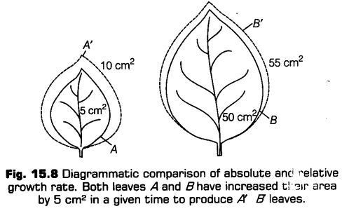 plant-growth-development-cbse-notes-class-11-biology-8