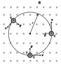 Charge particle describing a circle if v and B are mutually perpendicular