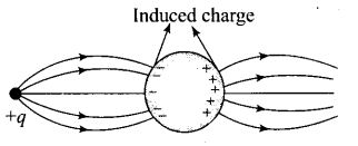 ncert-exemplar-problems-class-12-physics-electric-charges-fields-5