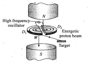 ncert-exemplar-problems-class-12-physics-moving-charges-and-magnetism-8