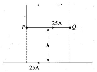 ncert-exemplar-problems-class-12-physics-moving-charges-and-magnetism-25