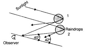 Important Questions for Class 12 Physics Chapter 9 Ray Optics and Optical Instruments Class 12 Important Questions 60