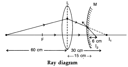 Important Questions for Class 12 Physics Chapter 9 Ray Optics and Optical Instruments Class 12 Important Questions 134