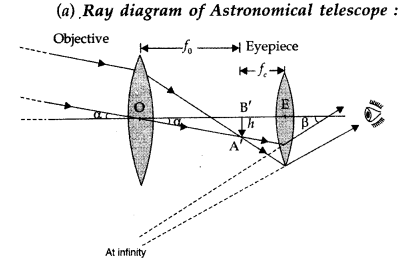 Important Questions for Class 12 Physics Chapter 9 Ray Optics and Optical Instruments Class 12 Important Questions 155