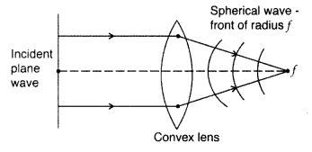 Important Questions for Class 12 Physics Chapter 10 Wave Optics Class 12 Important Questions 6
