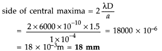 Important Questions for Class 12 Physics Chapter 10 Wave Optics Class 12 Important Questions 22