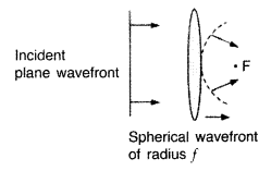 Important Questions for Class 12 Physics Chapter 10 Wave Optics Class 12 Important Questions 142