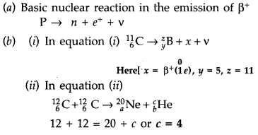 Important Questions for Class 12 Physics Chapter 13 Nuclei Class 12 Important Questions 72