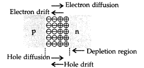 Important Questions for Class 12 Physics Chapter 14 Semiconductor Electronics Materials Devices and Simple Circuits Class 12 Important Questions 118