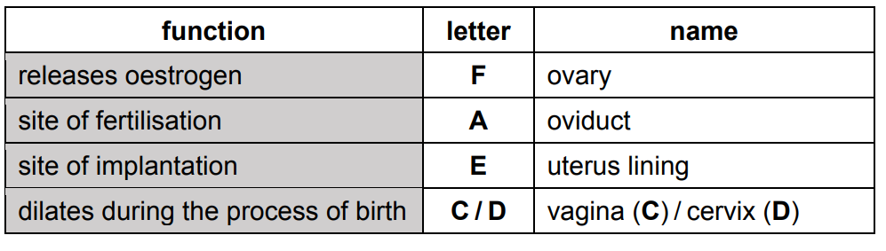 Igcse Biology 0610 164 Sexual Reproduction In Humans Igcse Style Questions Paper 4 Ibdp 7992